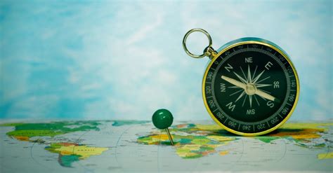 Divisional Structure Businesses Examples 的图像结果