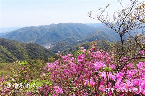 宁波最美登山打卡点，清溪流水和鲜花相映，成为赏花和踏青好去处_腾讯新闻
