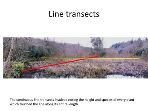 Image result for Ecological Sampling Using a Line Transect