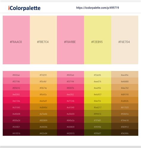Light Color 的图像结果