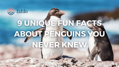 9 Unique Fun Facts About Penguins You Never Knew | Fahlo