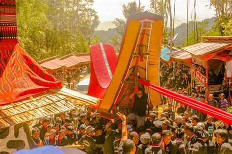 tempat wisata toraja utara