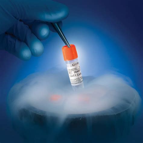 Corning® Brand Products | Life Sciences Brands | Corning.com