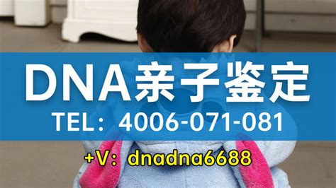 上海市亲子鉴定丨上海市DNA亲子鉴定中心-正规精准保密