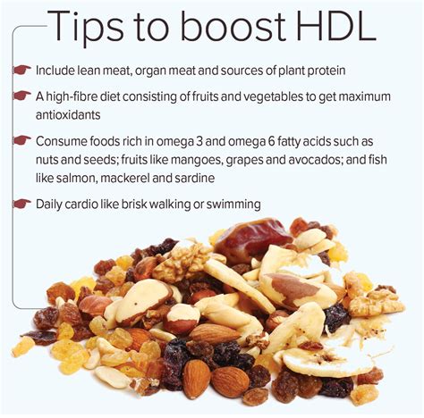 How good cholesterol protects our heart - Happiest Health