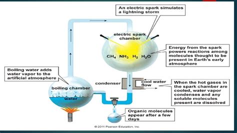 How Did Life First Form 的图像结果