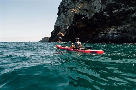 Image result for Axolotl Drawing Tutorial