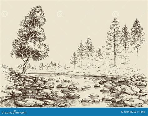 Sketch Of River