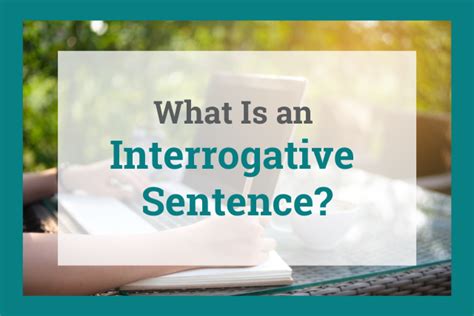Image result for Interrogative Sentence Types