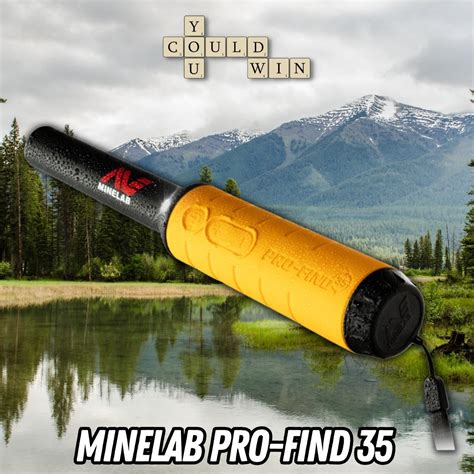 Image result for Minelab Pro Find 35 Pinpointer