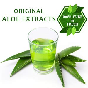 Buy Lilium Aloe Vera Moisturizer Body Lotion 500ml Pack Of 2, Fair ...