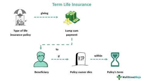 Define Term Life Insurance 的图像结果