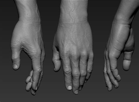 3D Hand Zbrush - TurboSquid 1152682