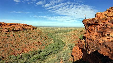 Fish in Desert : মরুভূমিতে মাছ? টিকে থাকার ক্ষমতা দেখে চমকে গেলেন ...