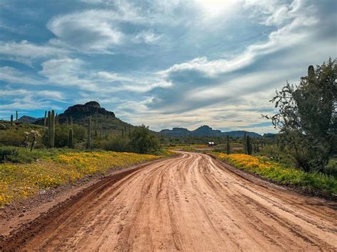 NEW Peralta Regional Park: Complete Hiking & Camping Guide - Karabou ...