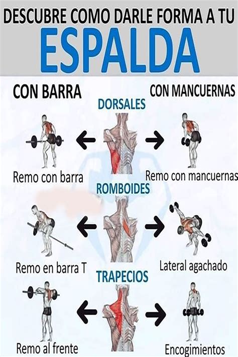 DESCUBRE COMO DARLE FORMA A TU ESPALDA | Rutina para espalda, Rutinas de entrenamiento ...