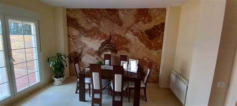 Image result for Turtle Shell Items