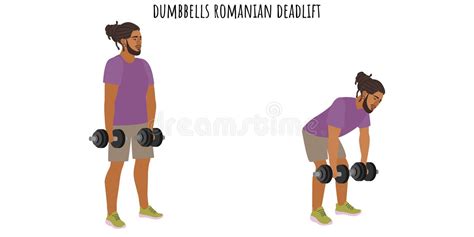 Romanian Deadlift Stock Illustrations - 20 Romanian Deadlift Stock ...