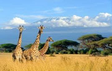 5 Days 4 Nights Kenya Tour Package | kenya, Trip Package for 4 Nights/5 ...