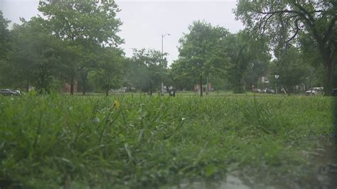 The science behind the 'smell' of rain | wusa9.com