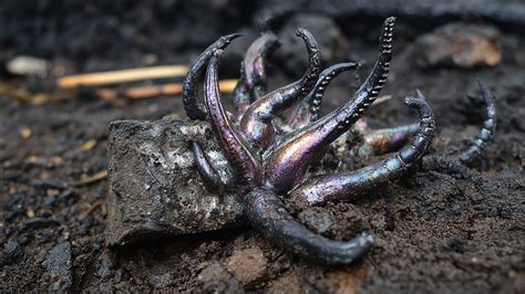 PANAMA METEORITE GROWS ALIEN-LIKE TENTACLES: Space Rock Grows ...