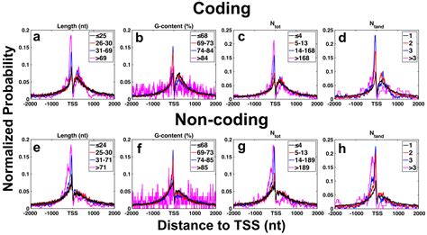 Structural Polymorphism of Guanine Quadruplex-Containing Regions in ...