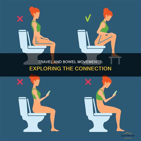 Travel And Bowel Movements: Exploring The Connection | QuartzMountain