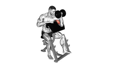 Dumbbell Preacher Curl (Turned Torso) - Exercise Guide & Tips