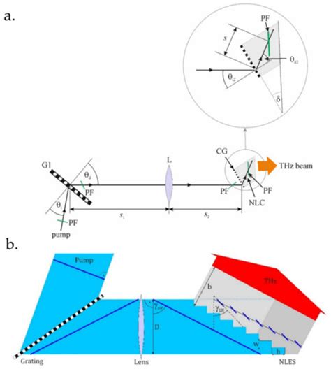 High Field Single- to Few-Cycle THz Generation with Lithium Niobate