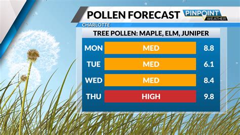 Get ready for pollen in Charlotte. Why climate change doesn't always ...