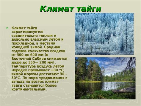 Климат, почвы и значение Тайги для России.