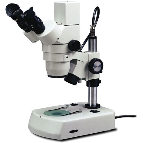Stereo Microscope 的图像结果