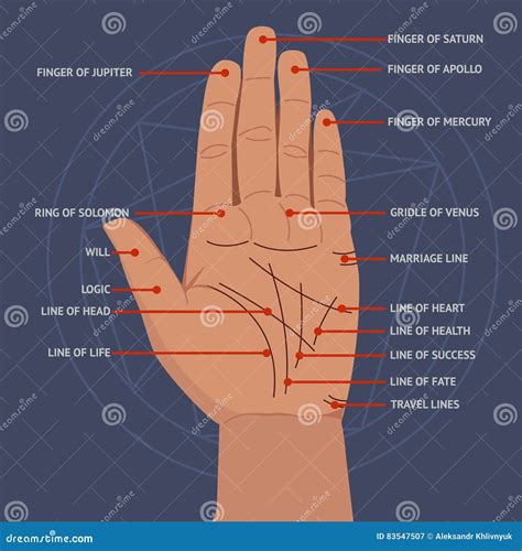 Palmistry. Open Hand Lines and Symbols Mystical Reading Illustration ...