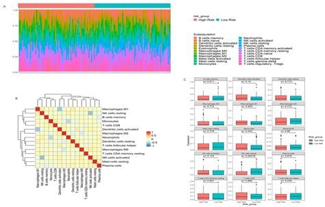 Modeling the Transitional Phase of Epithelial Cells Reveals Prognostic ...