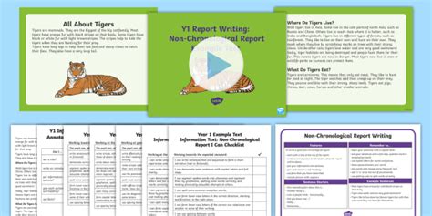 Year 1 Non-Chronological Report WAGOLL Example Text