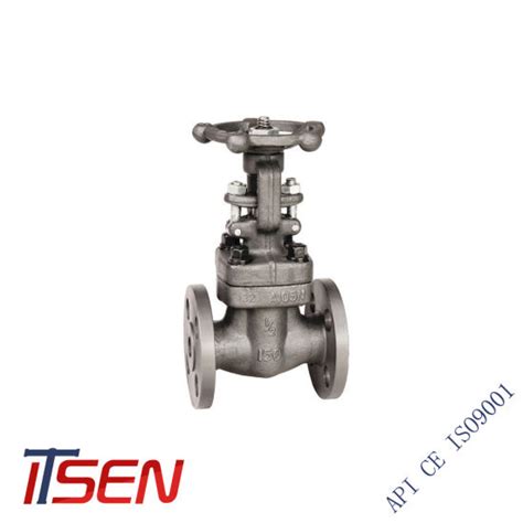 China Forged Carbon/Stainless Steel Flange/Thread/Socket Welding Gate ...