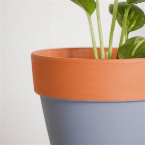 Brown Rim Grey Clay Pot Set Of 2 Online - Premium Planter | Nestasia