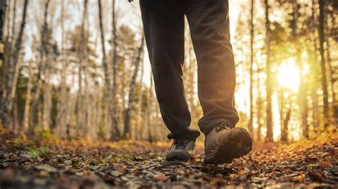 What Does It Mean to Be Truly Devoted to Jesus - Discipleship.org