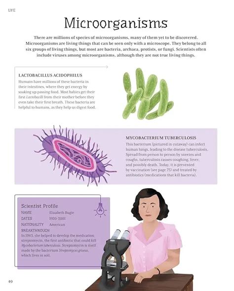 The Illustrated Encyclopedia of Science | Hardcover – Books and You