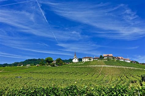 Farmland 的图像结果