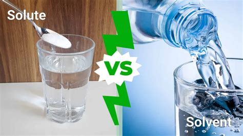 Solute Vs Solvent: Definition, Differences, Examples – FJRL