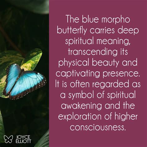 Blue Morpho Butterfly Meaning: The Sacred Messenger of the Rainforest ...