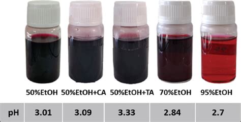 Optimization of stirring-assisted extraction of anthocyanins from ...