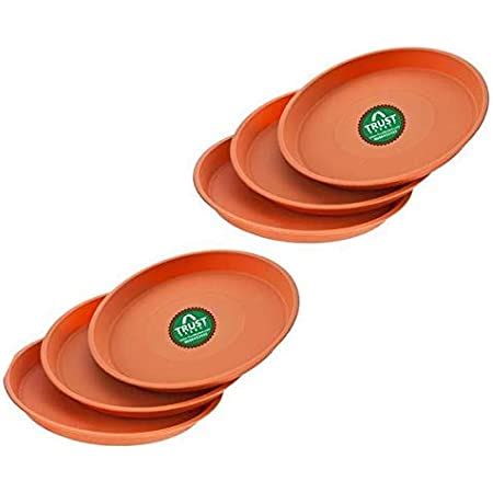 TrustBasket Uv Treated Round Bottom Tray(Plates/Saucer) Suitable for 16 ...