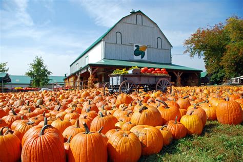 Autumn Farms - Pumpkins, Hayrides, Apple Cider - www.issipakistan.com