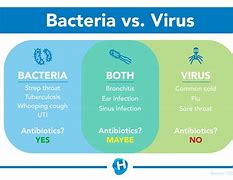 Image result for baCterial