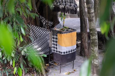 Vector Poleng 的图像结果