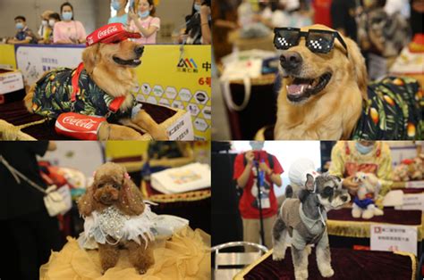 第22届亚洲宠物展在上海举行_参展