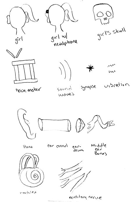 Can You Hear Without Ears